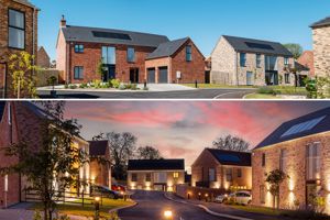 Adrian Shinn Way Development- click for photo gallery